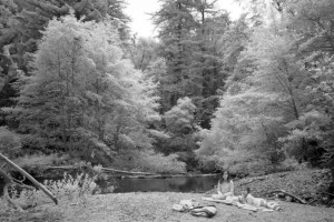 Infrared photography of the Big Sur River on the summer solstice.