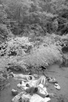 Teenagers in puppy pile. Infrared photography of the Big Sur River on the summer solstice.