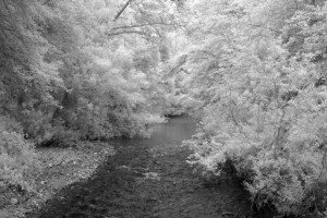 Big Sur River Infrared photography of the Big Sur River on the summer solstice.