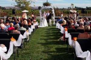 Wedding Ceremony, Marsha's Vineyard Napa CA