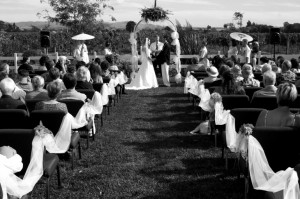 Wedding Ceremony, Black and White, Marsha's Vineyard Napa